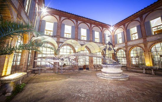 Museo di storia naturale dell'Accademia dei Fisiocritici